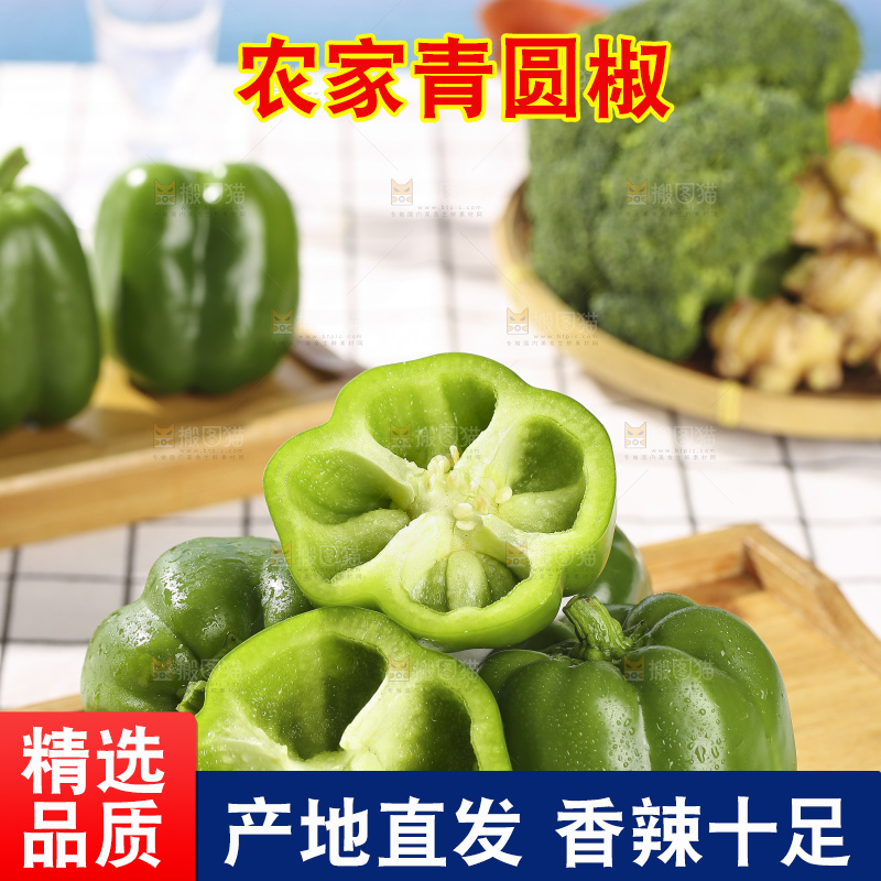 浅底上的青圆椒