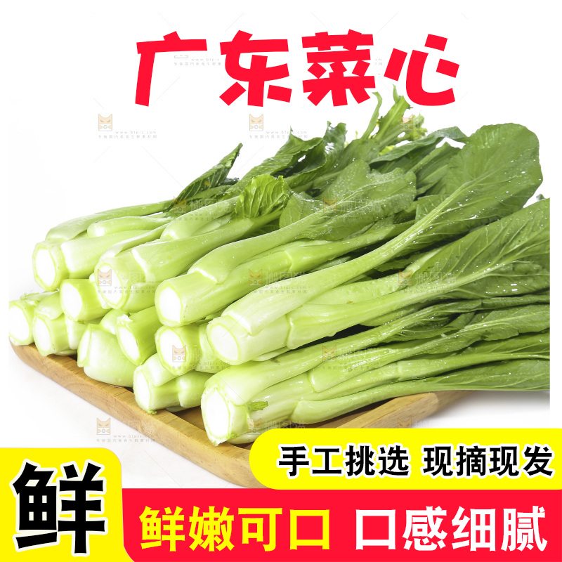 白底上的广东菜心