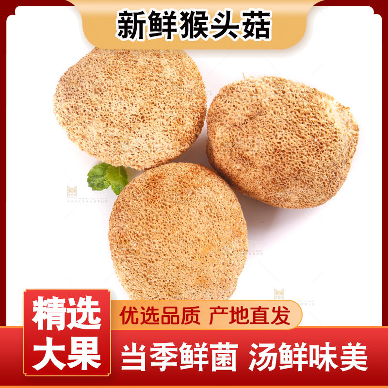 白底上的猴头菇