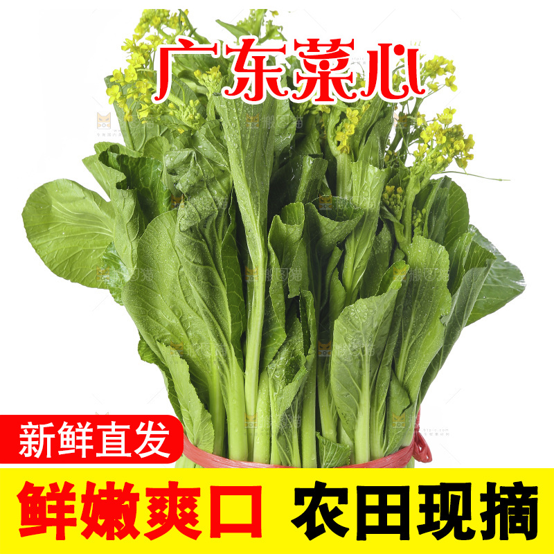 白底上的广东菜心