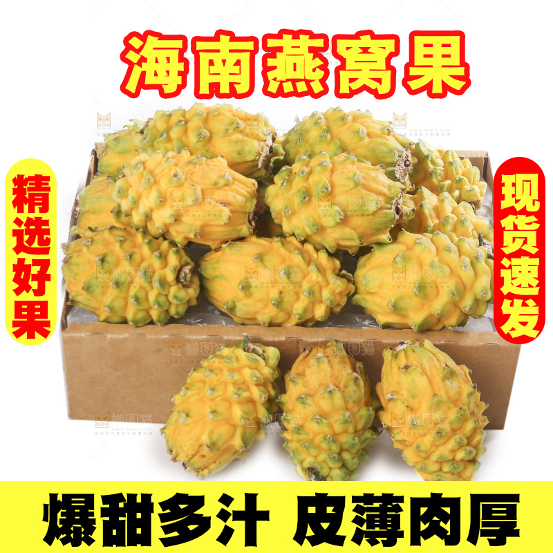 白底上的燕窝果