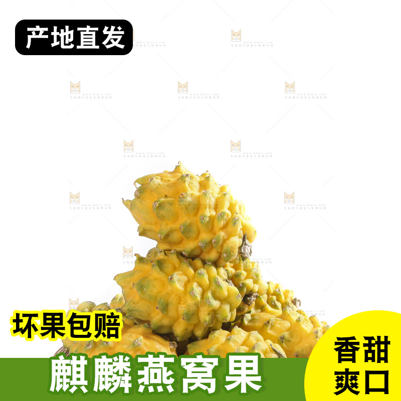 白底上的燕窝果