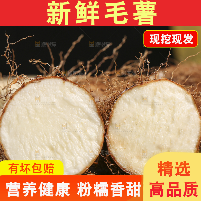 深底上的新鲜毛薯