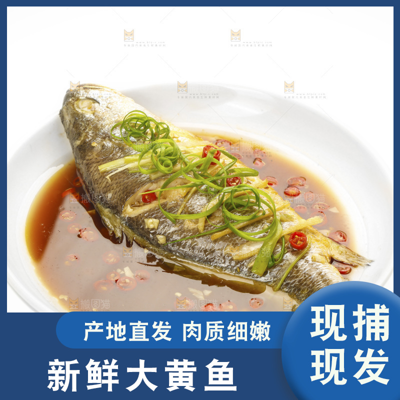白底上的清蒸黄鱼