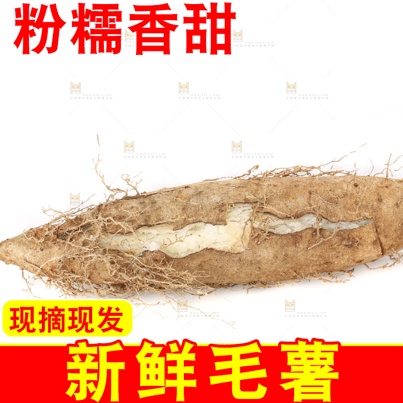 白底上的新鲜毛薯