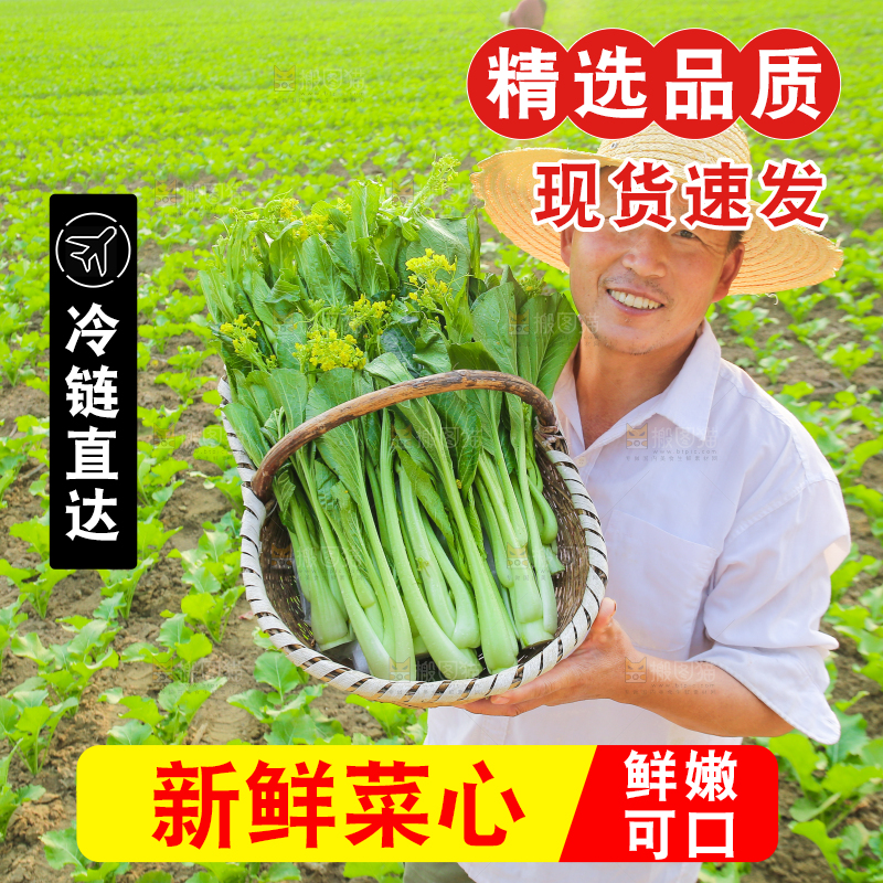 手里拿着广东菜心