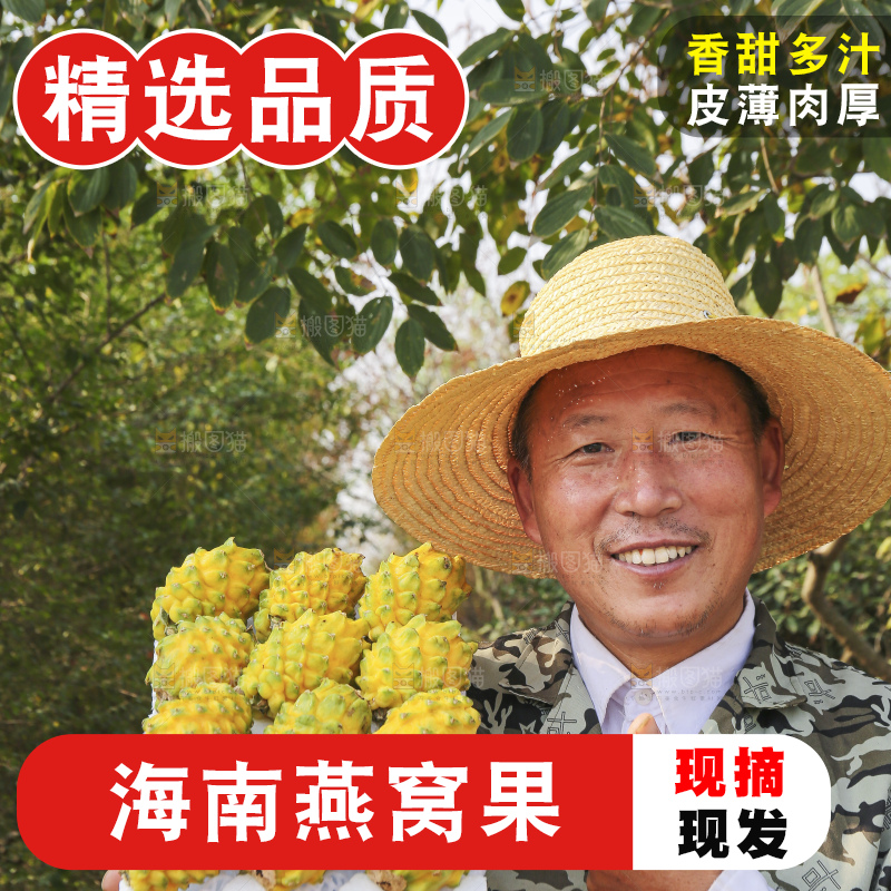手里拿着燕窝果