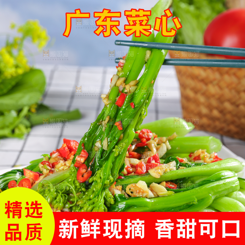 浅底上的广东菜心