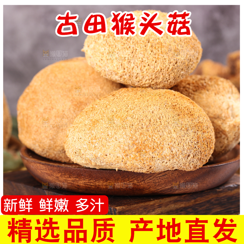 木底上的猴头菇