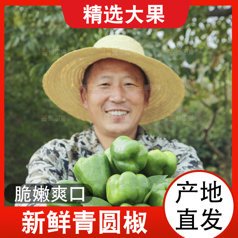 手里拿着新鲜青圆椒