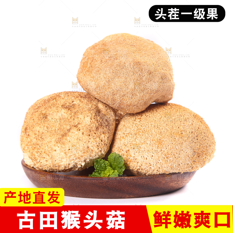 白底上的猴头菇