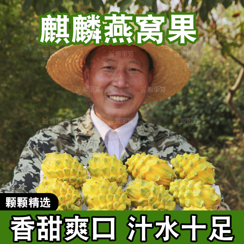 手里拿着燕窝果