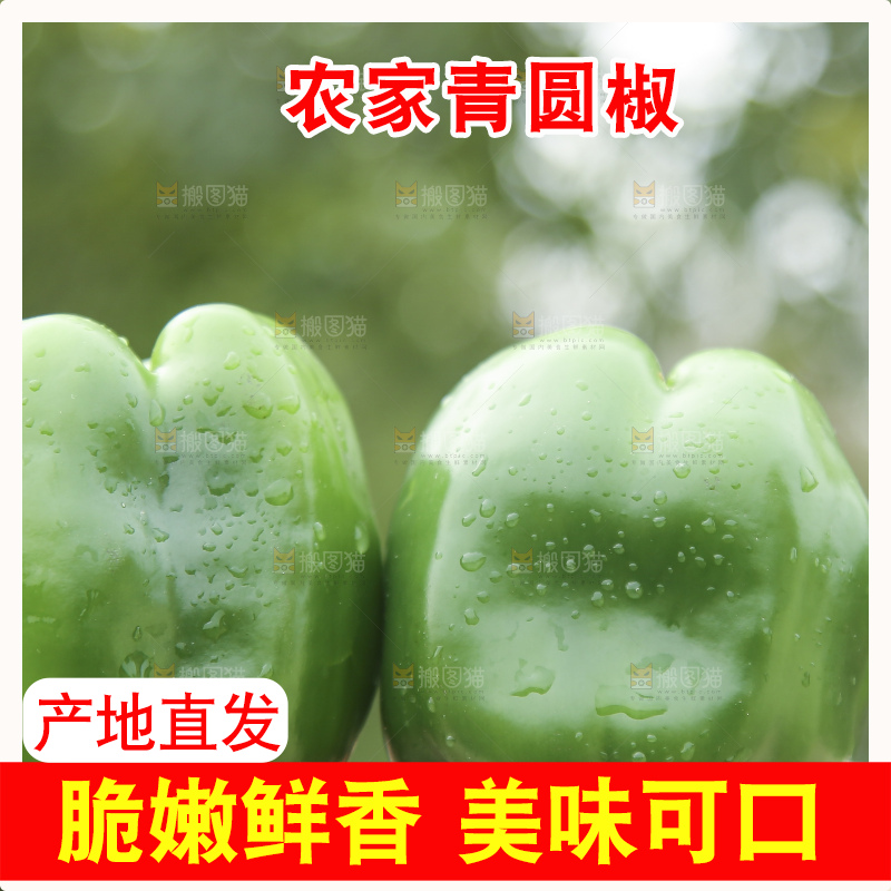 手里拿着新鲜青圆椒