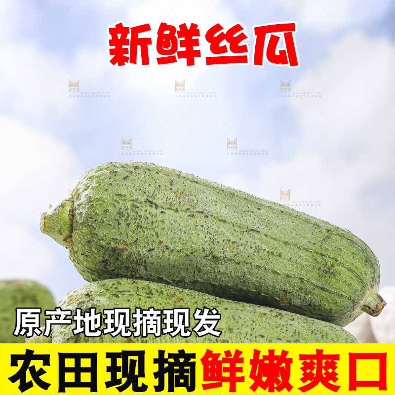 浅底上的肉丝瓜