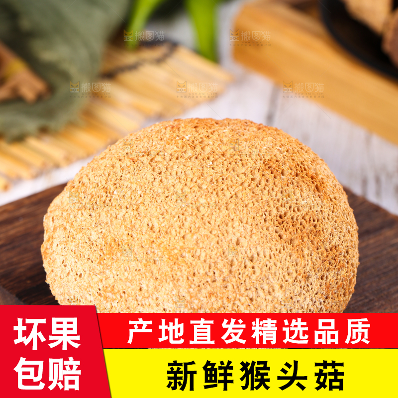 木底上的猴头菇