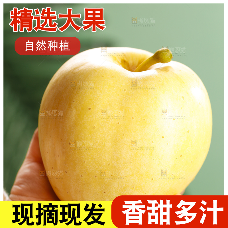 浅底上的维纳斯苹果