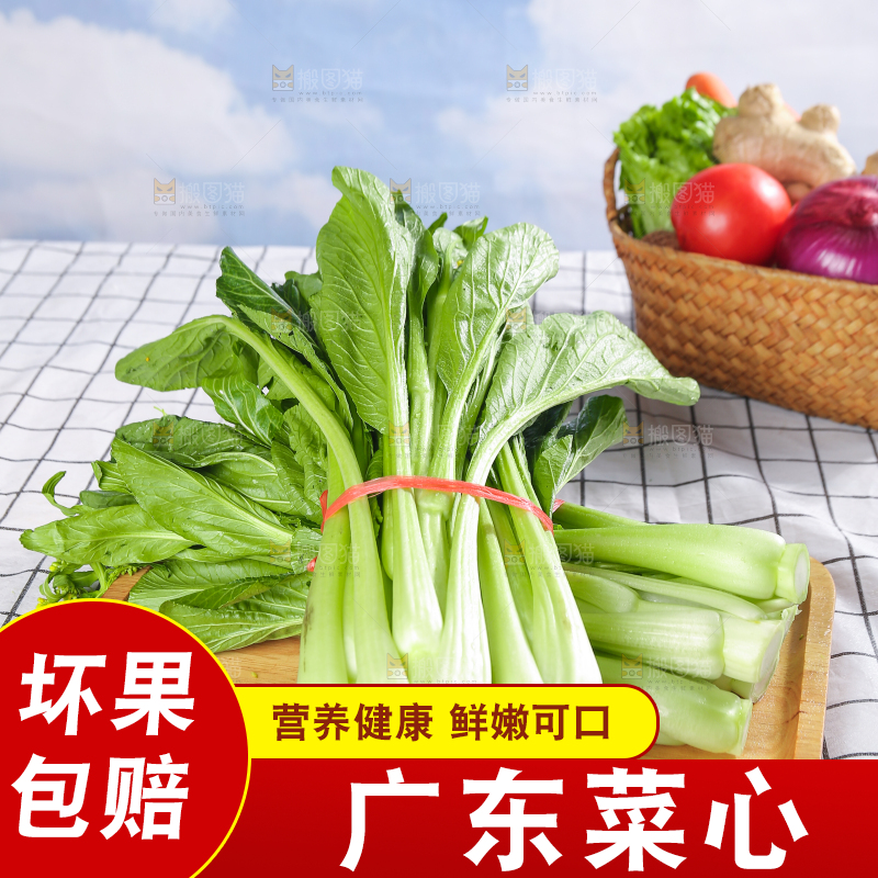 浅底上的广东菜心