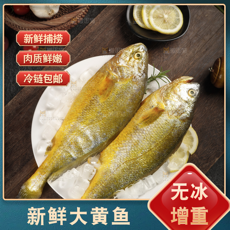 深底上的大黄鱼
