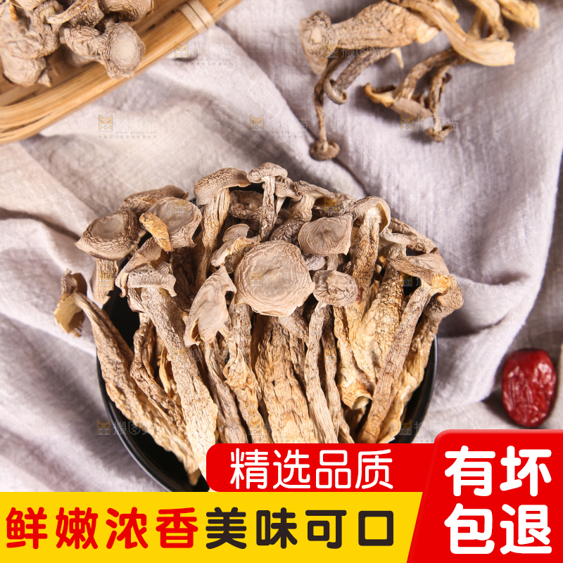 浅底上的鹿茸菇