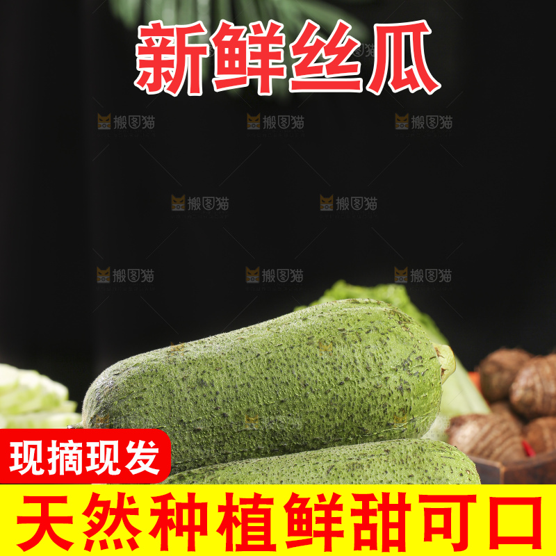木底上的肉丝瓜