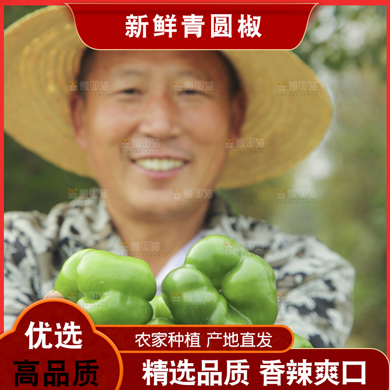 手里拿着新鲜青圆椒