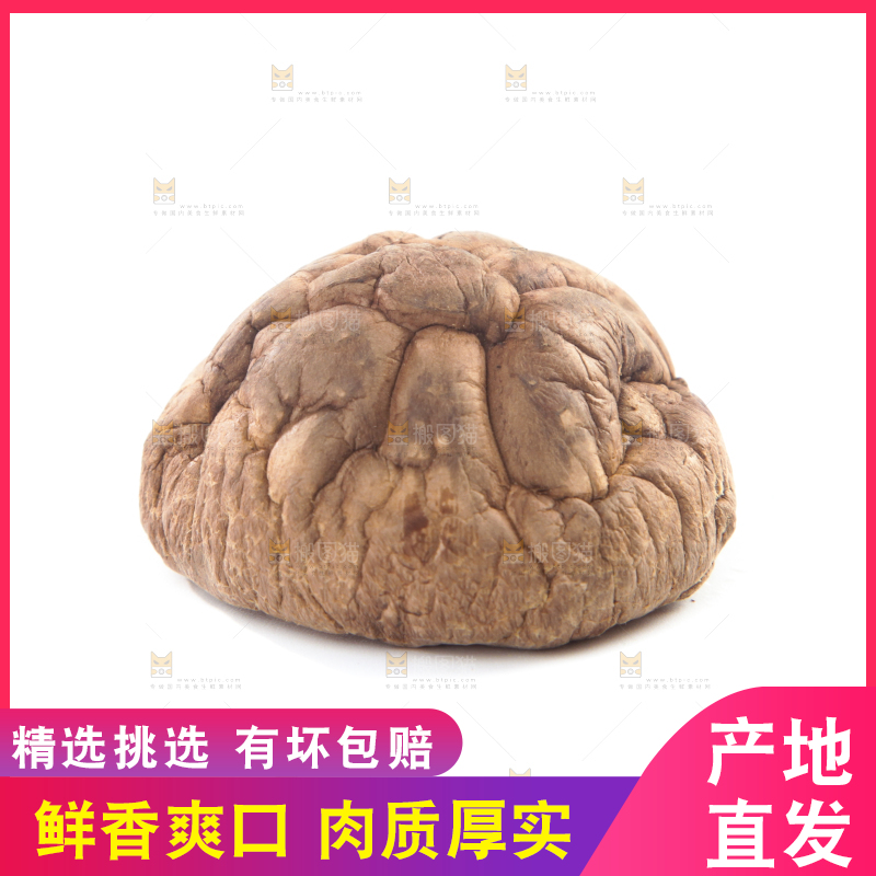 白底上的干香菇