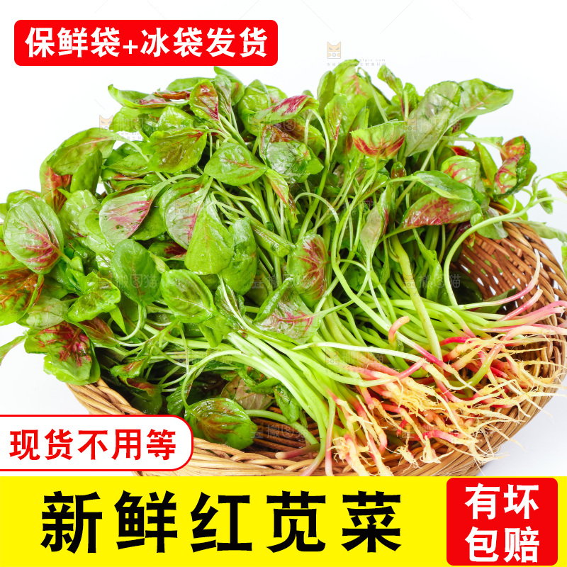 白底上的农家苋菜