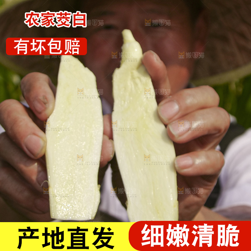 手里拿着新鲜茭白
