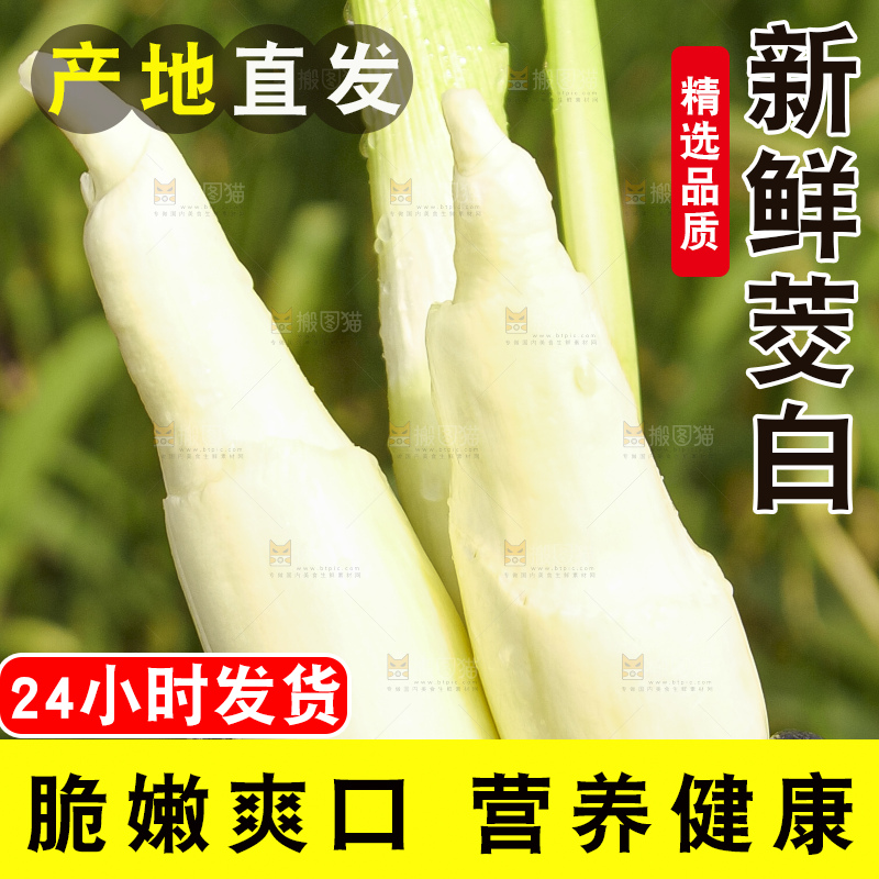 手里拿着新鲜茭白