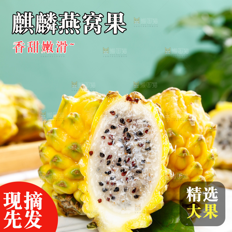 浅底上的燕窝果