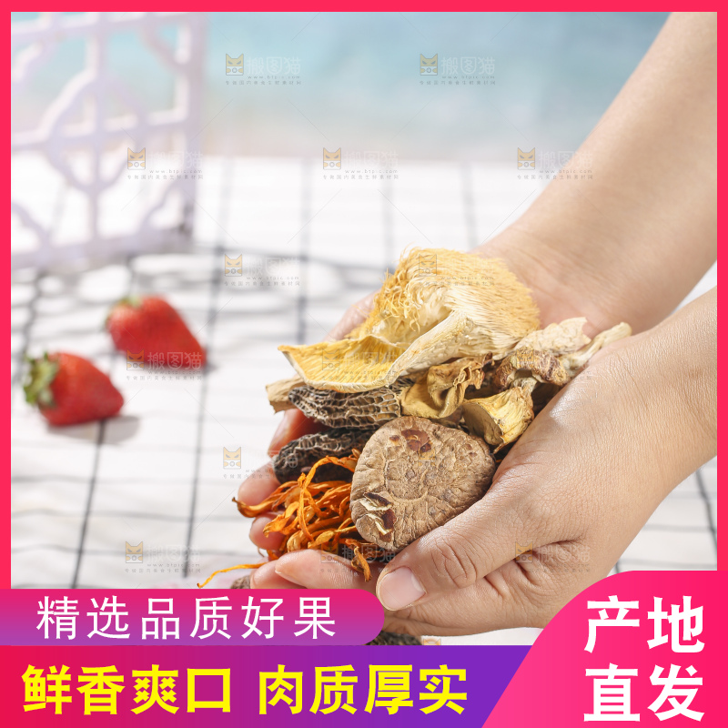 浅底上的七彩菌菇