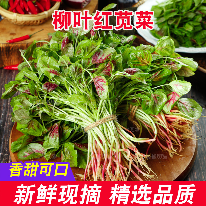 深底上的新鲜苋菜