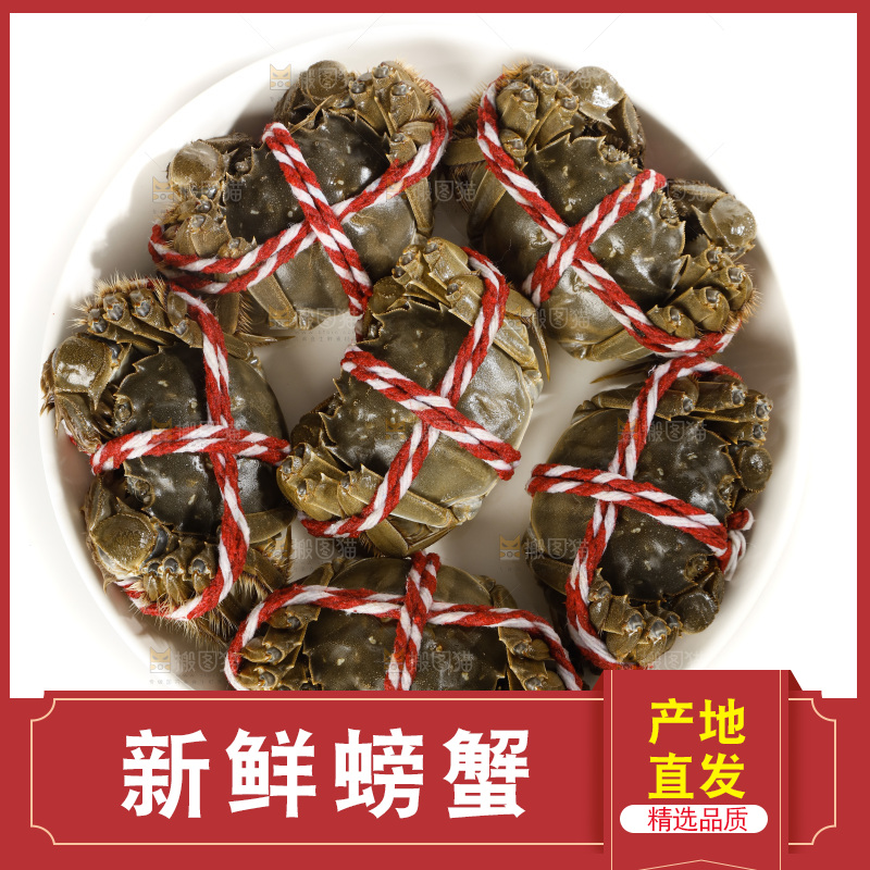 白底上的大闸蟹