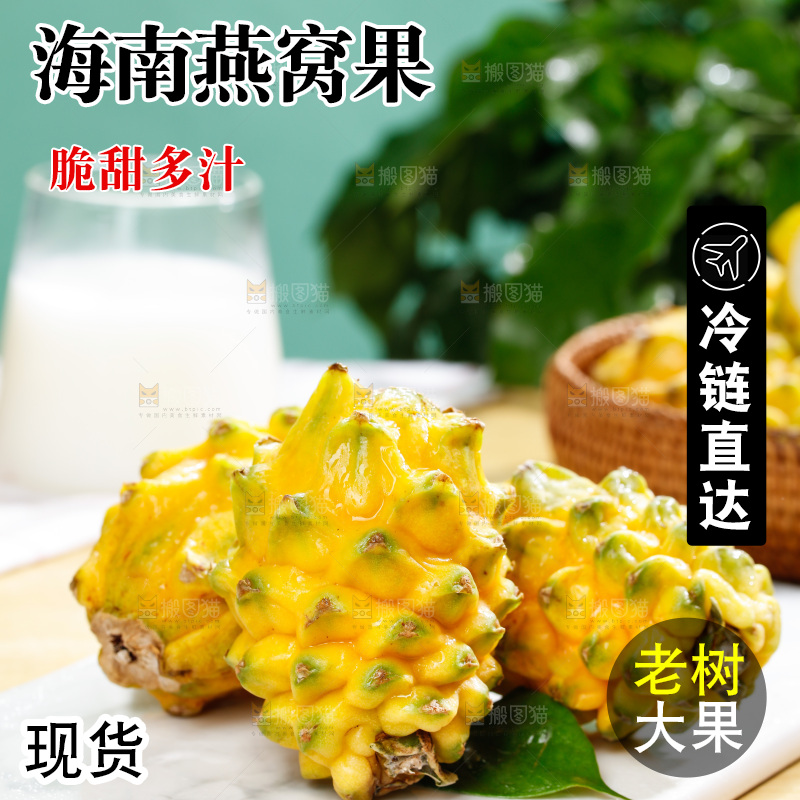 浅底上的燕窝果
