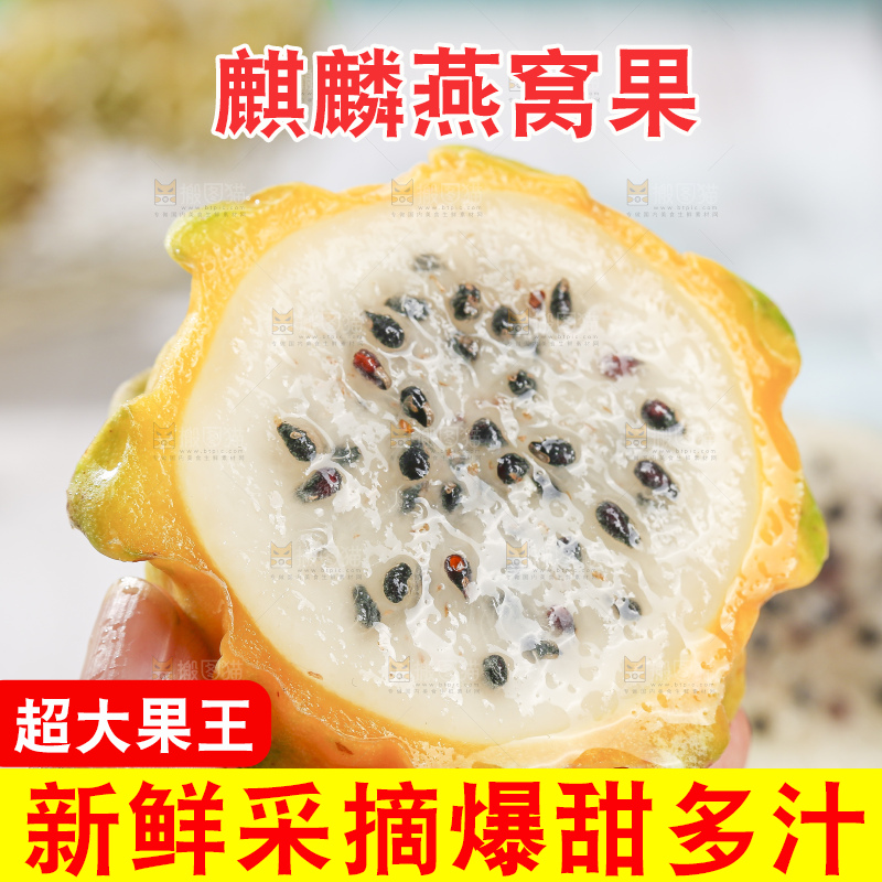 浅底上的燕窝果