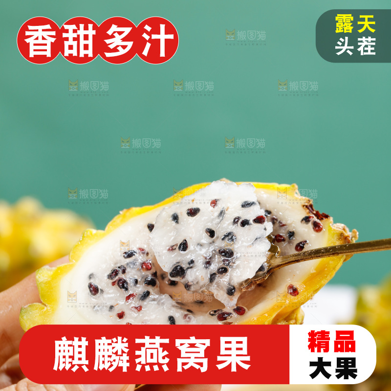 浅底上的燕窝果