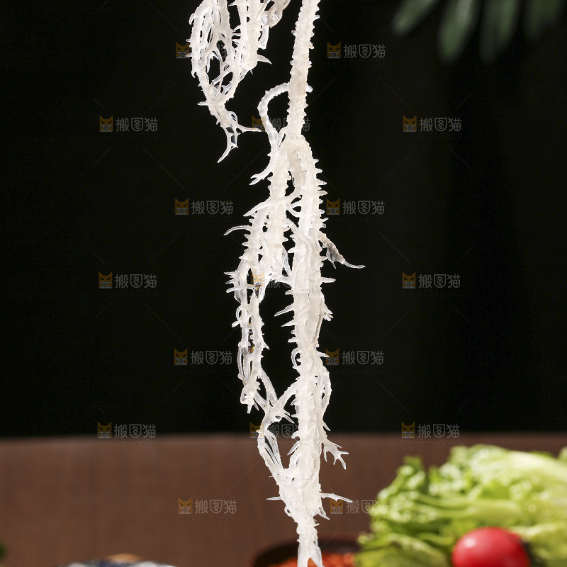 深底上的龙须菜