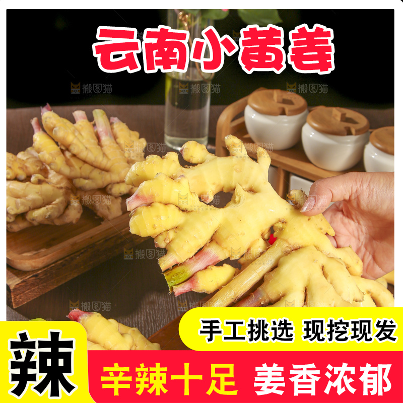 深底上的小黄姜