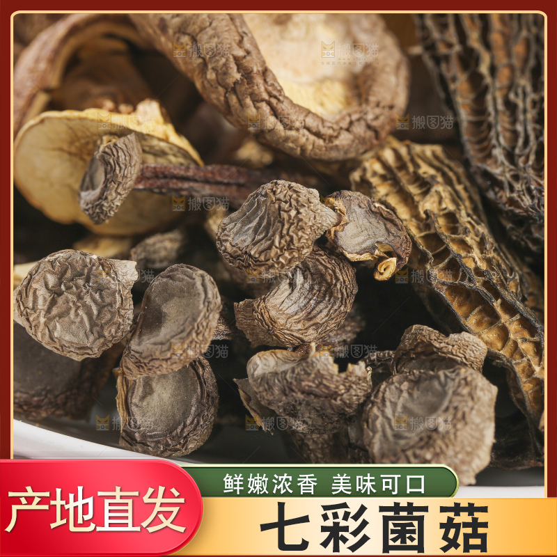 浅底上的七彩菌菇
