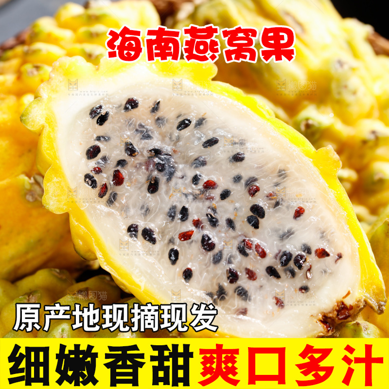 深底上的燕窝果