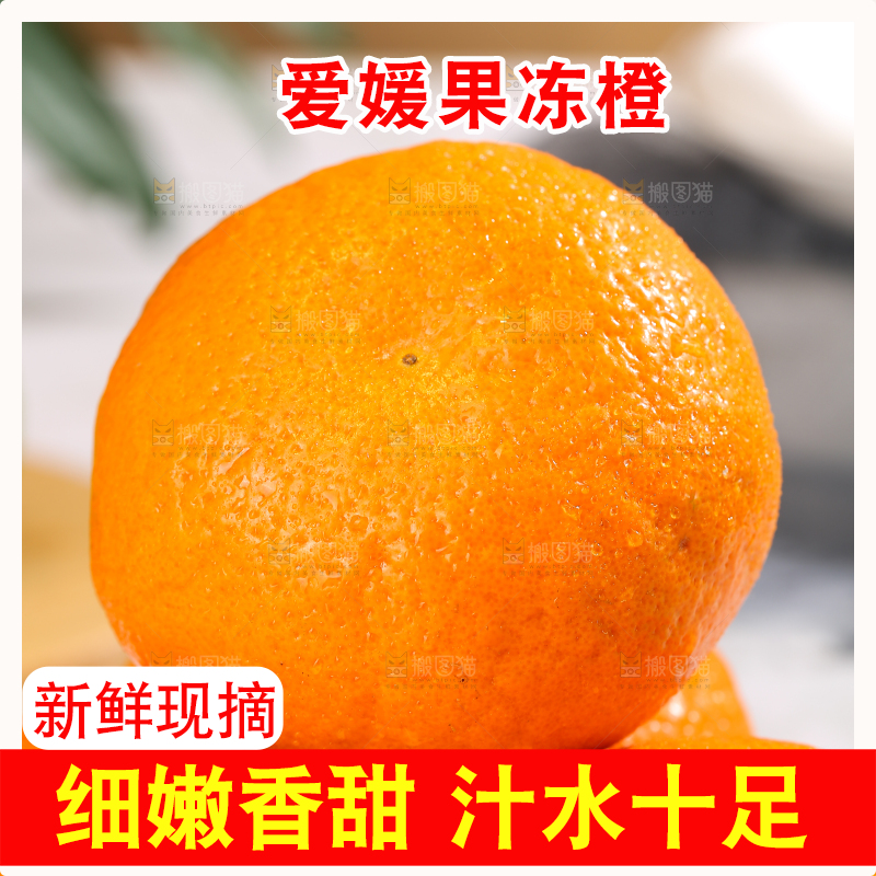 浅底上的爱媛果冻橙