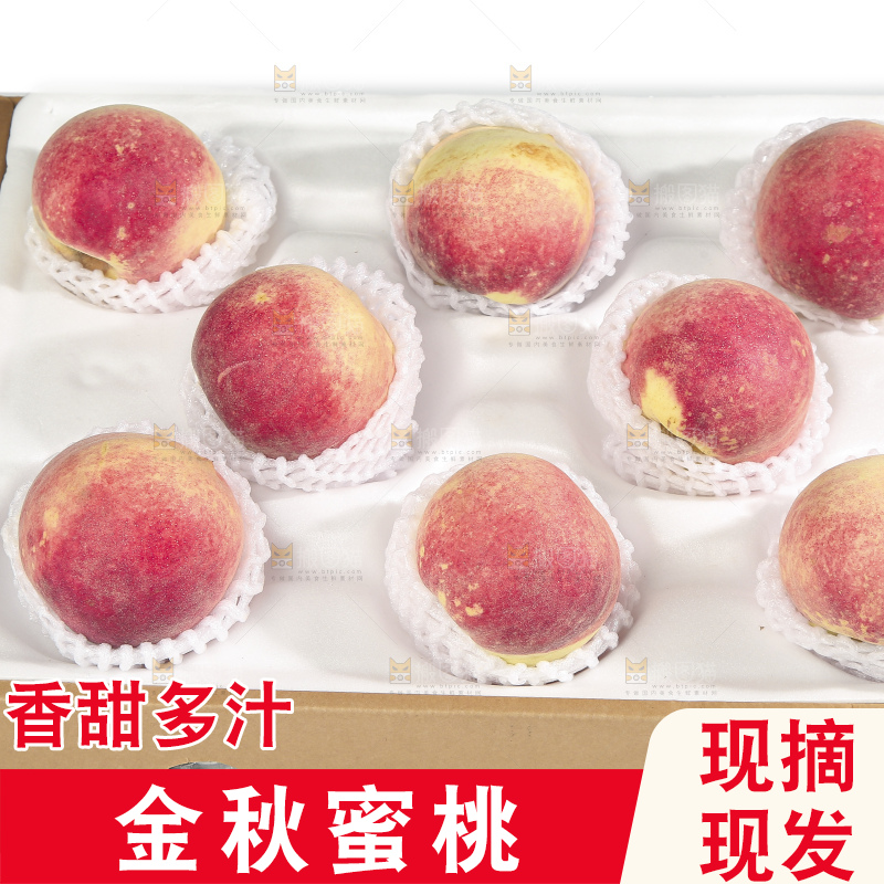 白底上的金秋红蜜桃