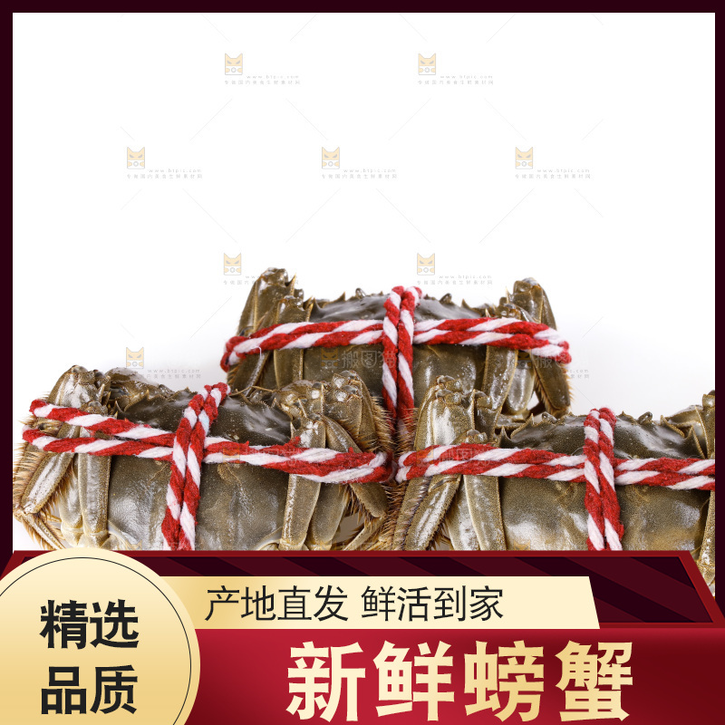 白底上的大闸蟹