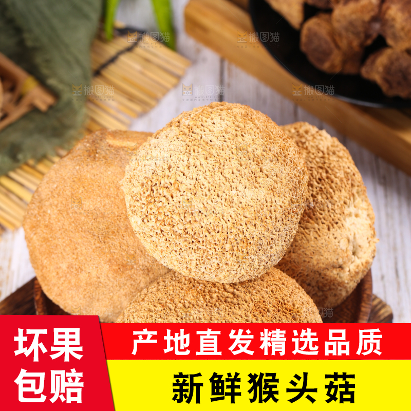 木底上的猴头菇