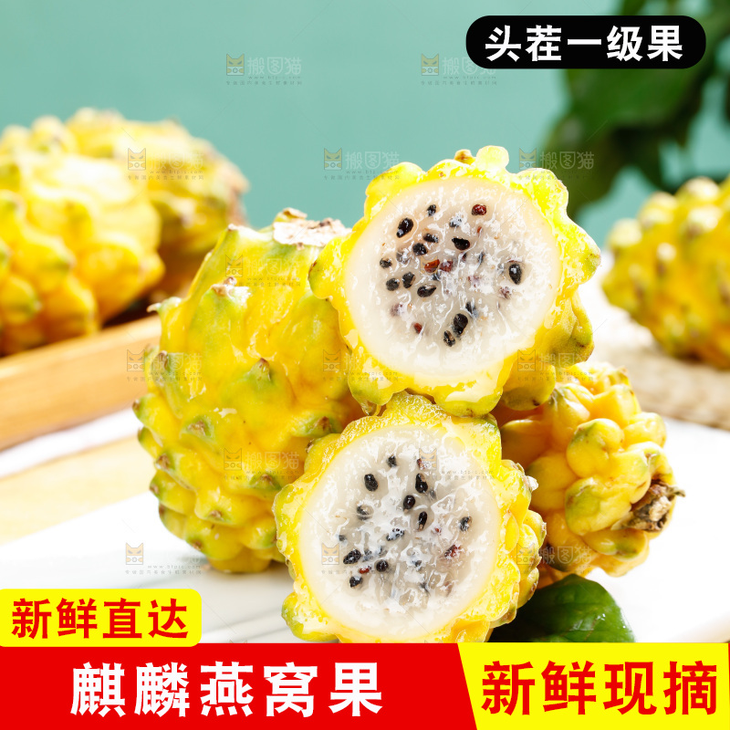 浅底上的燕窝果
