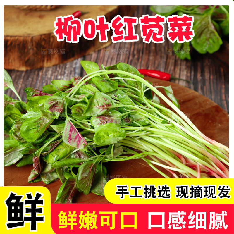 深底上的新鲜苋菜
