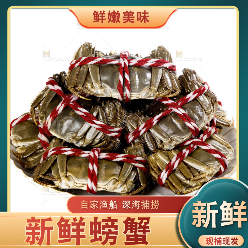 白底上的大闸蟹