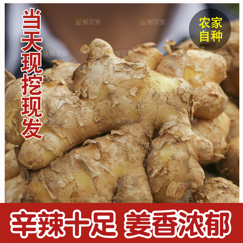 手里拿着新鲜生姜