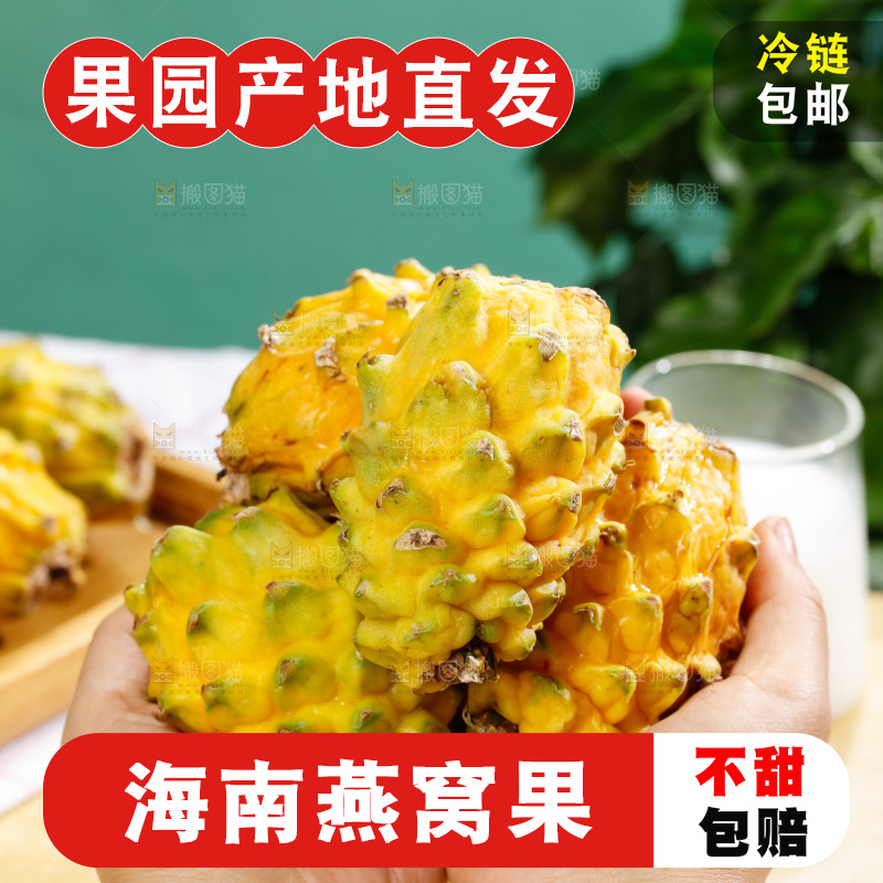 浅底上的燕窝果
