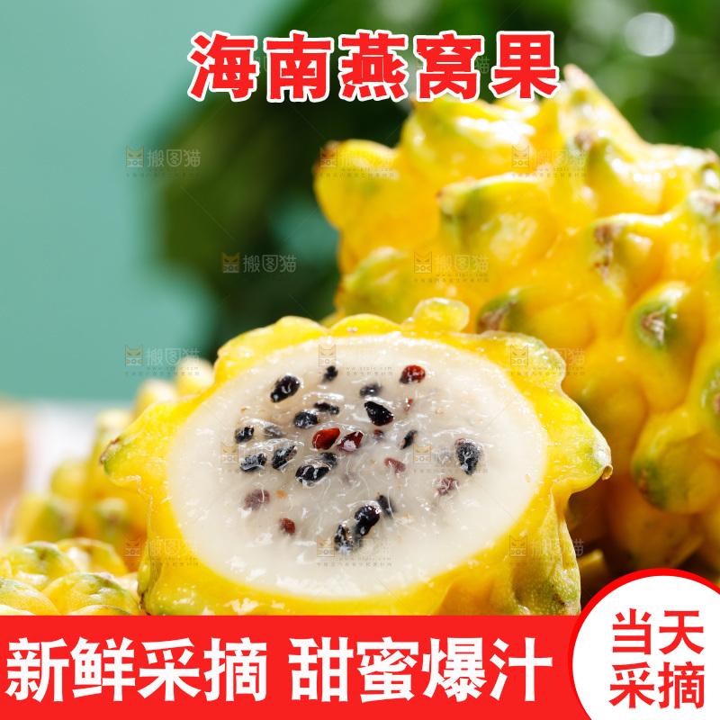 浅底上的燕窝果